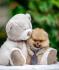 Pomeranci iz odgajivačnice DoG House Hernaus