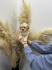 Maltipoo vrhinske genetike