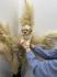 Maltipoo vrhunske genetike